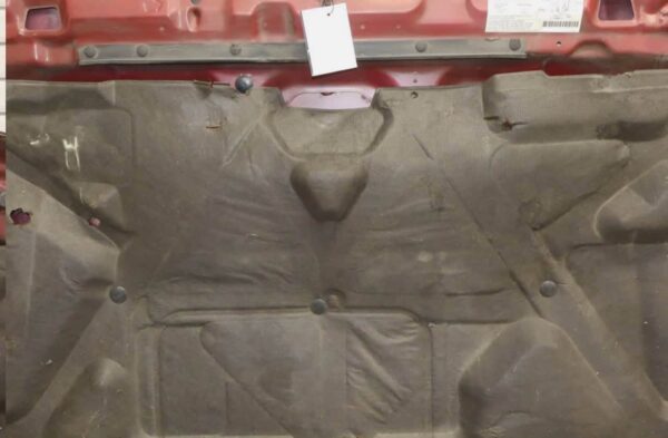 Limited Hood OEM for 1999-2002 Isuzu Trooper - Second Generation