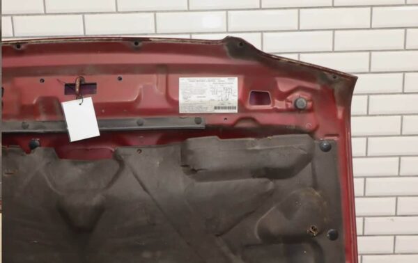 Limited Hood OEM for 1999-2002 Isuzu Trooper - Second Generation